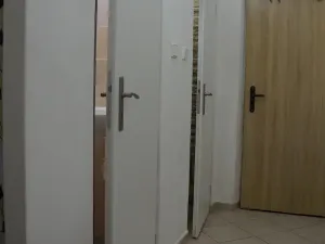 Pronájem bytu 1+1, Most, Pionýrů, 38 m2