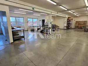 Prodej komerční nemovitosti, Opava, Slezská, 1385 m2