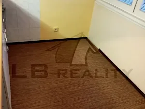 Pronájem bytu 1+1, Kolín, Dělnická, 36 m2