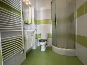 Pronájem bytu 2+1, Plzeň, Božkovská, 55 m2