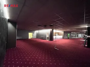 Pronájem obchodního prostoru, Liberec, Ježkova, 487 m2