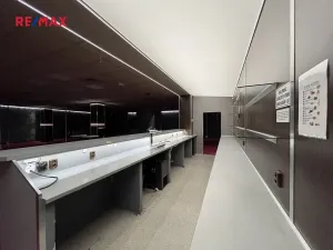 Pronájem obchodního prostoru, Liberec, Ježkova, 487 m2