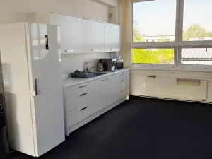 Pronájem kanceláře, Lišov, Hůrecká, 235 m2