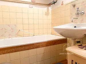 Prodej bytu 1+1, Hýsly, 34 m2