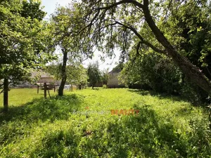 Prodej rodinného domu, Grešlové Mýto, 100 m2