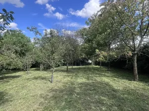 Prodej rodinného domu, Kožušice, 230 m2