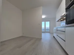 Pronájem bytu 1+kk, Brno, třída Generála Píky, 35 m2