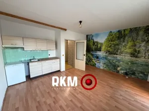 Pronájem bytu 1+kk, Brno, Oderská, 37 m2