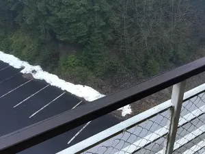 Prodej bytu 2+kk, Harrachov, 48 m2