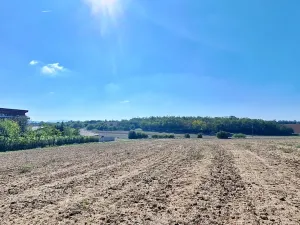 Prodej pozemku pro bydlení, Hrušovany u Brna, Pod Střediskem, 752 m2