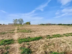 Prodej pozemku pro bydlení, Hrušovany u Brna, Pod Střediskem, 875 m2