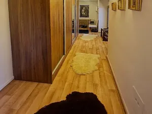 Prodej bytu 2+1, Plzeň, Ořechová, 68 m2