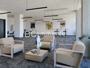 Pronájem kanceláře, Brno, 445 m2