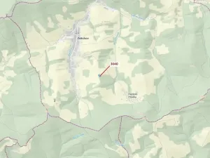 Dražba lesa, Zděchov, 2428 m2