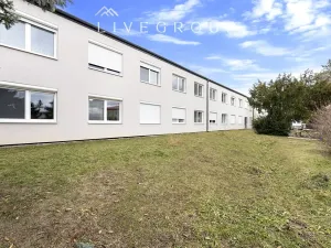 Pronájem bytu 1+kk, Zbýšov, čtvrť Padělky, 29 m2