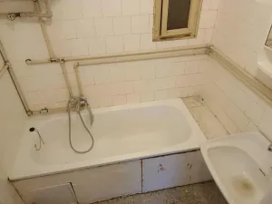 Prodej bytu 1+1, Kralovice, Na Palcátech, 48 m2