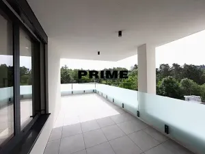 Pronájem rodinného domu, Praha - Řepy, U Lesoparku, 408 m2