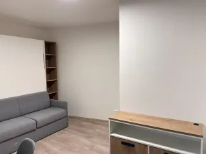 Pronájem bytu 1+kk, Praha - Smíchov, Plzeňská, 41 m2