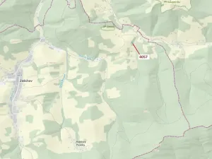 Dražba lesa, Zděchov, 435 m2