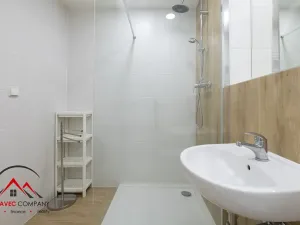 Pronájem bytu 1+kk, Ostrava, Cihelní, 17 m2