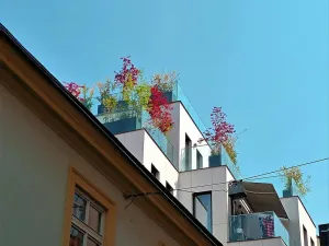 Pronájem bytu 4+kk, Praha - Nové Město, Ostrovní, 103 m2