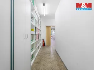 Pronájem komerční nemovitosti, Ústí nad Labem - Severní Terasa, Šrámkova, 181 m2