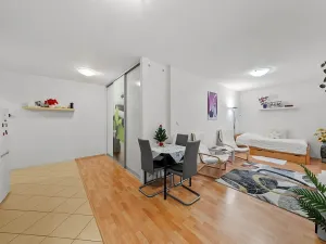Prodej bytu 1+kk, Drásov, Hradčanská, 39 m2