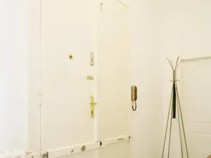 Pronájem bytu 4+1, Praha - Nové Město, Biskupská, 132 m2