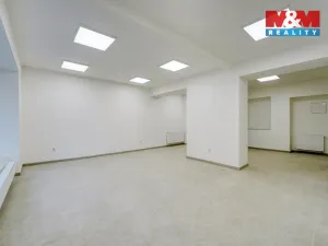 Pronájem obchodního prostoru, Plzeň - Jižní Předměstí, Husova, 51 m2
