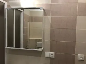 Pronájem bytu 1+1, Děčín, Litoměřická, 34 m2