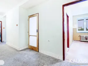 Prodej bytu 3+1, Kladno - Kročehlavy, Vrchlického, 78 m2