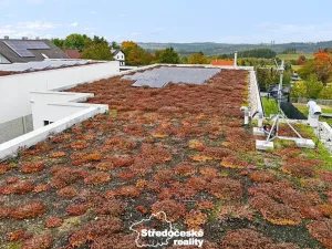 Pronájem rodinného domu, Divišov, Dalovská, 240 m2