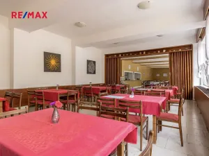 Prodej ubytování, Doksy, Pod Borným, 1700 m2