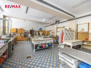 Prodej ubytování, Doksy, Pod Borným, 1700 m2