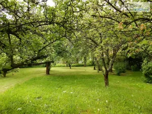 Prodej rodinného domu, Supíkovice, 130 m2