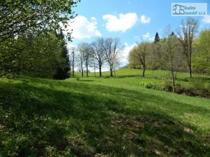 Prodej pozemku pro bydlení, Branná, 7409 m2