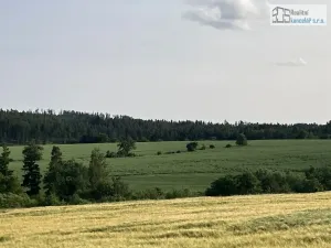 Prodej zemědělské usedlosti, Kuřimská Nová Ves, 240 m2