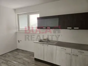 Pronájem obchodního prostoru, Litvínovice, 148 m2