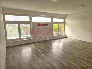 Pronájem obchodního prostoru, Litvínovice, 148 m2