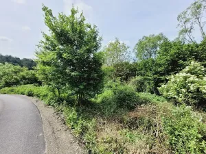 Prodej pozemku pro bydlení, Osvětimany, 1645 m2