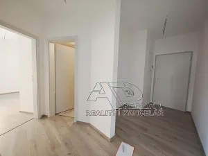 Pronájem atypického bytu, České Budějovice, Na Zlaté stoce, 54 m2