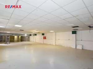 Pronájem výrobních prostor, Frýdek-Místek, Třebízského, 220 m2