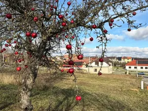 Prodej pozemku pro bydlení, Tišnovská Nová Ves, 1095 m2