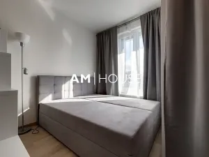 Pronájem bytu 1+kk, Praha - Žižkov, Olgy Havlové, 38 m2