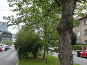 Pronájem bytu 2+1, Praha, Kladenská, 82 m2