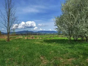 Prodej chalupy, Králíky, 254 m2