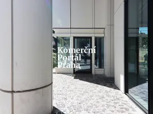 Pronájem restaurace, Praha - Nusle, Lomnického, 470 m2