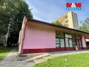 Pronájem obchodního prostoru, Ostrava, Vietnamská, 166 m2