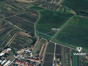 Prodej pole, Mutěnice, 1151 m2
