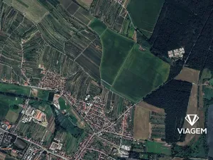 Prodej pole, Mutěnice, 1151 m2